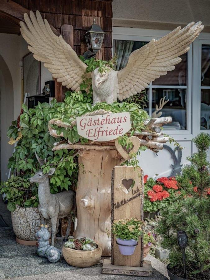 Gaestehaus Elfriede Inklusive Sommerbergbahnticket Haldensee Exterior foto